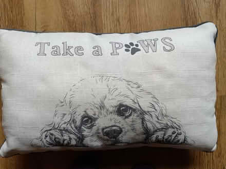 Photo of free Cushion (Pencoed CF35) #1