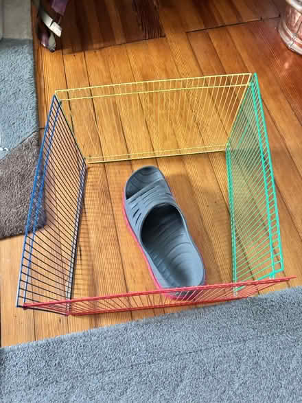 Photo of free Small animal exercise pen (Woodridge) #1