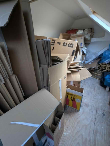 Photo of free Packing boxes + packing paper (G61) #1