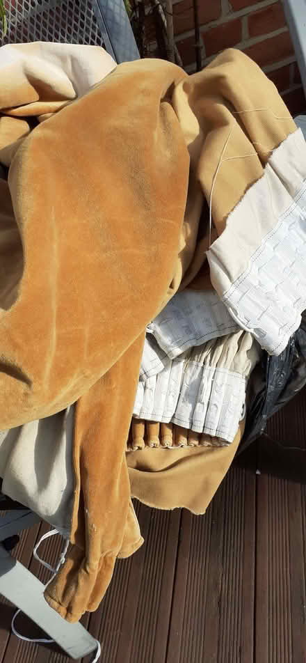 Photo of free Pair of Gold Velvet Curtains (High Wych CM21) #2