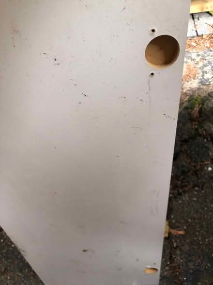 Photo of free Cabinet doors (Browns Line/Lakeshore) #4