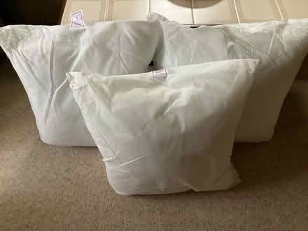 Photo of free Large cushion pads and covers (Bearwood BH11) #1