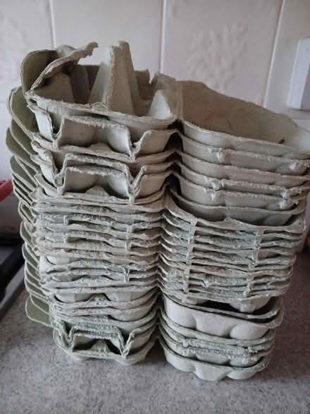 Photo of free Egg boxes (Belper Town centre) #1
