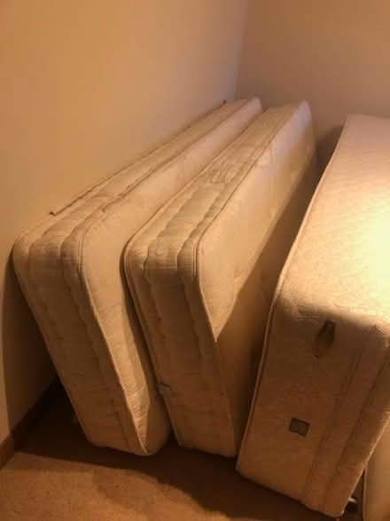 Photo of free Single beds (Glenrothes KY7) #1