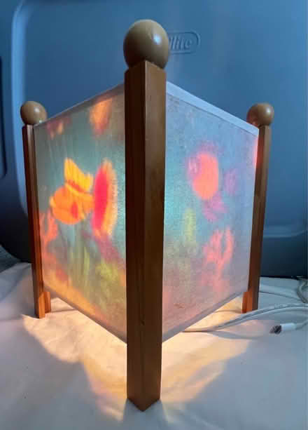 Photo of free 4 sided fish light (Ridley Park) #2