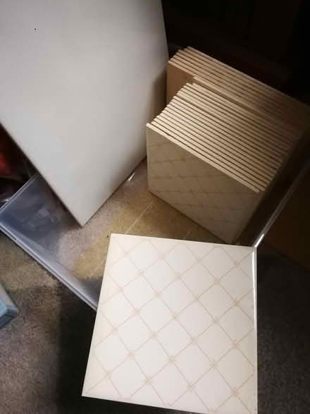 Photo of free tiles (Hereford HR1) #1