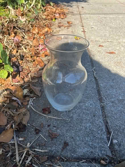 Photo of free Glass bottles (North Berkeley) #2