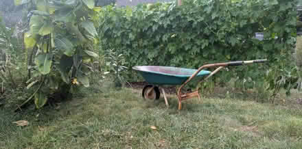 Photo of free Small wheelbarrow (Penn Hills) #2