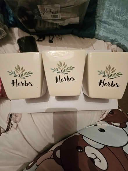 Photo of free Herbs pots (Ashton in Makerfield WN4) #1