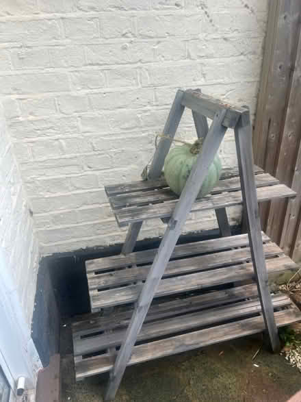 Photo of free Garden plant shelving unit (South Norwood, SE25) #1