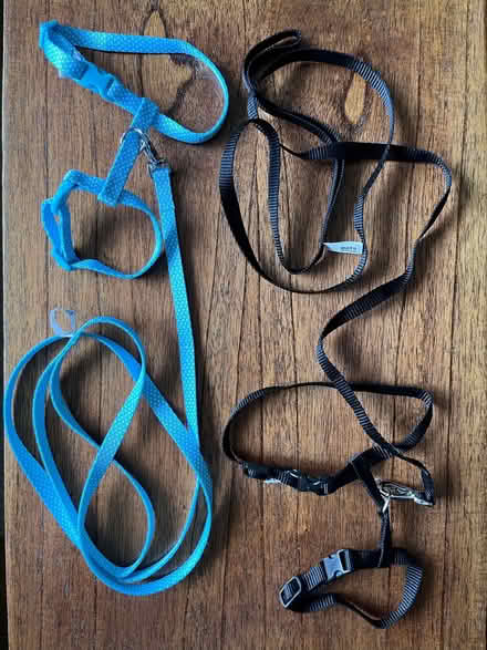 Photo of free Kitten/small cat harnesses (Booker HP12) #1