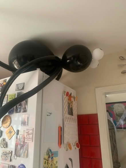 Photo of free Halloween ballon arch and spiders. (Hillingdon UB10) #3