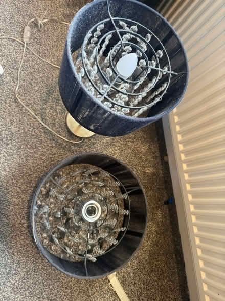 Photo of free Next lamp and lampshade (New England) #3