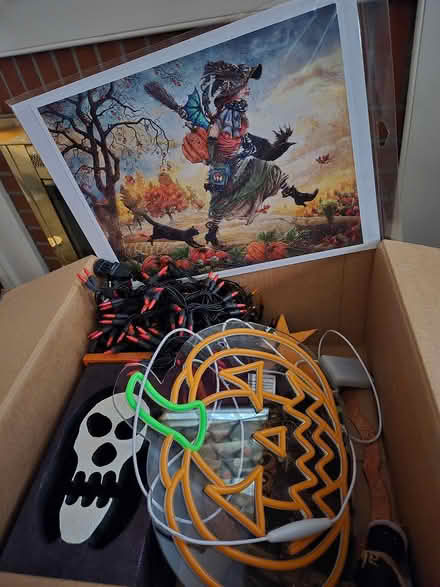 Photo of free Box of Halloween Decorations (Aurora near Prisco Center) #1