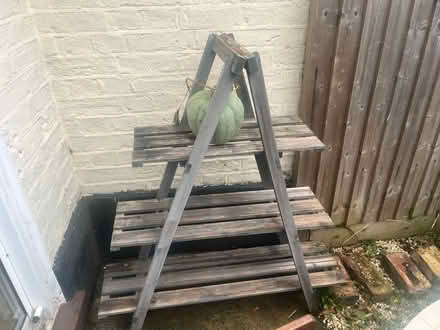 Photo of free Garden plant shelving unit (South Norwood, SE25) #2