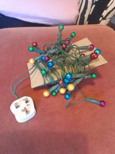 Photo of free Fairy lights with berry bulbs. (Headington OX3) #1