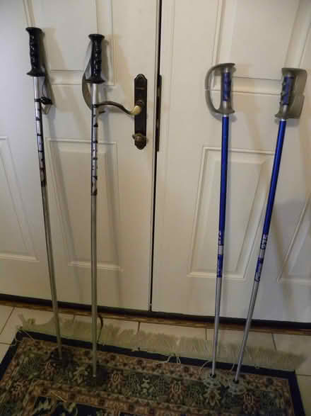 Photo of free Downhill Ski Poles (Troy) #1