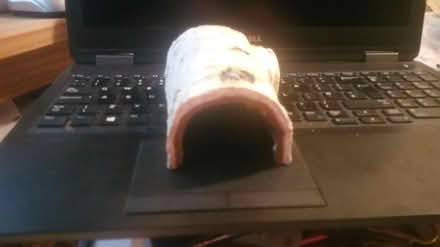 Photo of free Imitation resin log /cave (southey green S5) #3