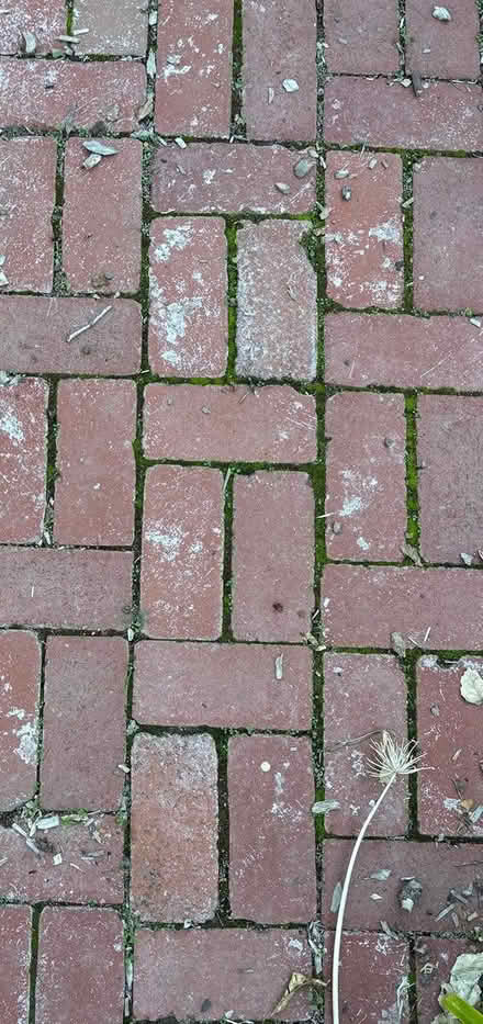 Photo of free Bricks (Old Mountain View) #1