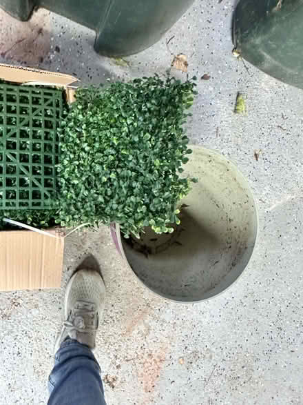 Photo of free Garden stuff (132 humboldt Ave providence) #2