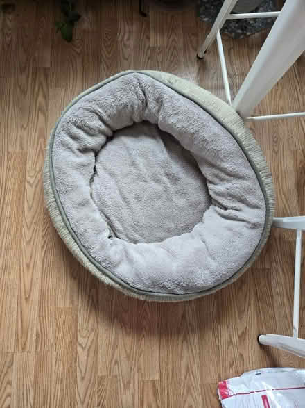 Photo of free 24in dog bed (Takoma DC) #1