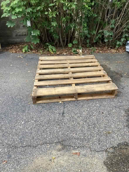 Photo of free Wood Pallette (Arlington Center) #1