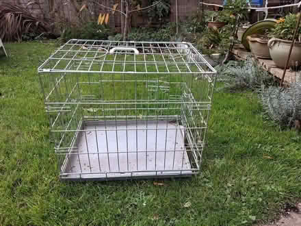 Photo of free Cage (Stroud GL5) #1