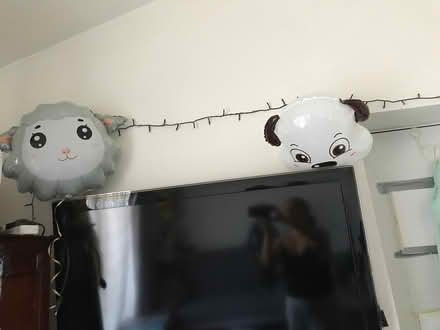 Photo of free Balloons for kids birthday (HP3 9EL Hemel Hempstead) #3