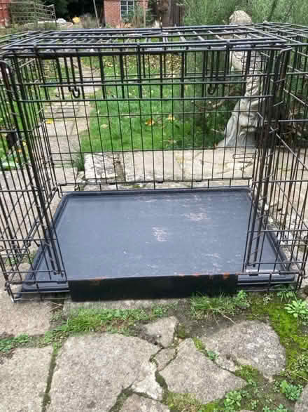Photo of free Kong dog crate (RUshden NN10) #2