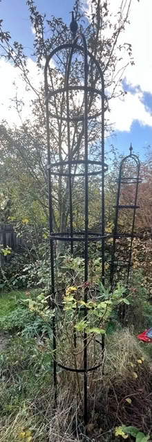 Photo of free Garden obelisk (Wonersh GU5) #1