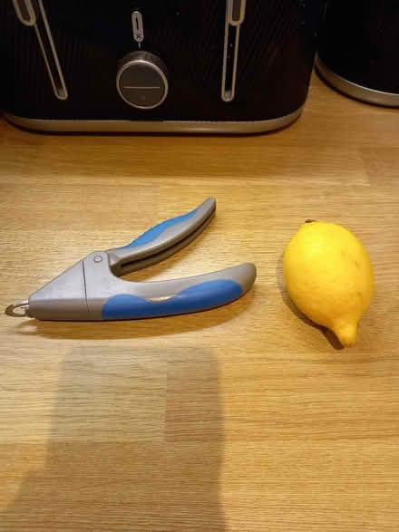 Photo of free Dog nail clippers (Roundhill area brighton) #1