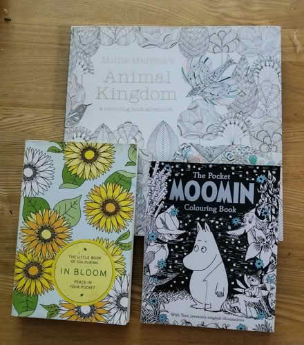 Photo of free 3 colouring books (BH9) #1