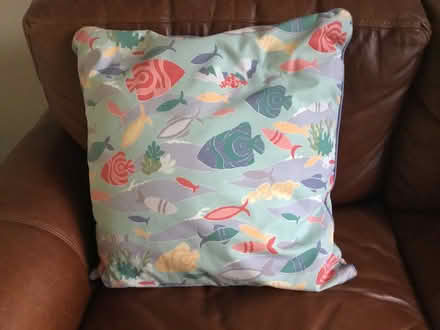 Photo of free Cushion (Berkhamsted HP4) #2