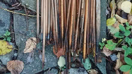 Photo of free Old wooden arrows for ? garden use (Nash Mills WD4) #2