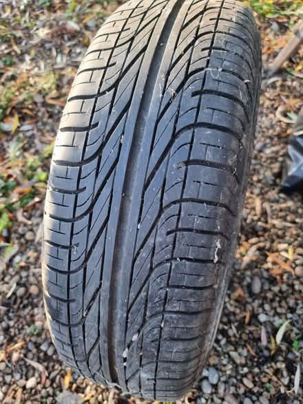 Photo of free Pirelli 195/65 R Tyre (City College area NR2) #1