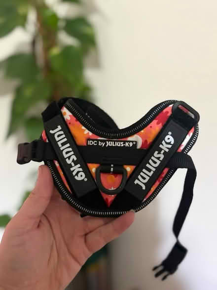 Photo of free New julius k9 dog harness 3xs (L13) #1