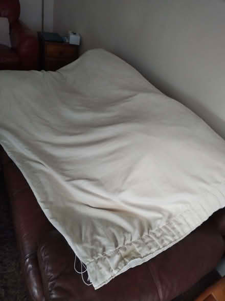 Photo of free Curtains (Corsham SN13) #1