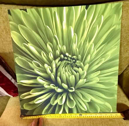 Photo of free Green Floral Canvas (Chandlers Ford SO53) #1