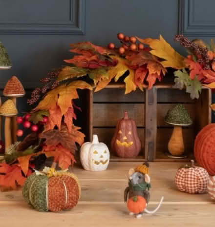 Photo of Autumn décorations (Woodley RG6) #1