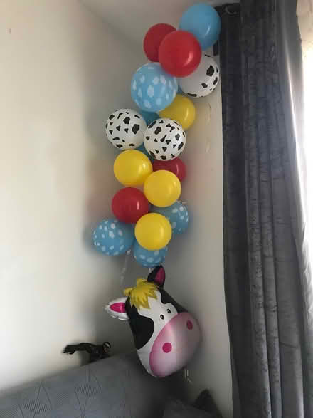 Photo of free Balloons for kids birthday (HP3 9EL Hemel Hempstead) #2