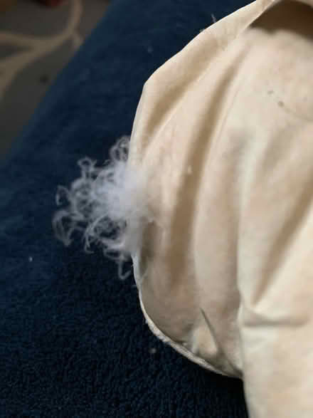 Photo of free White Goose Down Duvet Twin Size (South Brampton) #1