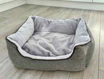 Photo of free Dog bed- (North Gyle EH12) #1