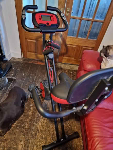 Photo of free Fit bike (BS4) #2