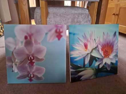 Photo of free Pair of Canvas Flower Pictures (Gillingham ME7) #1