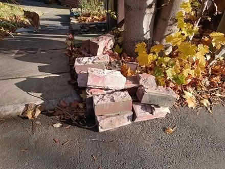 Photo of free Bricks and slab (Norton Lees, S8) #1