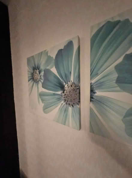 Photo of free 3 canvas pictures (Ashton in Makerfield WN4) #4