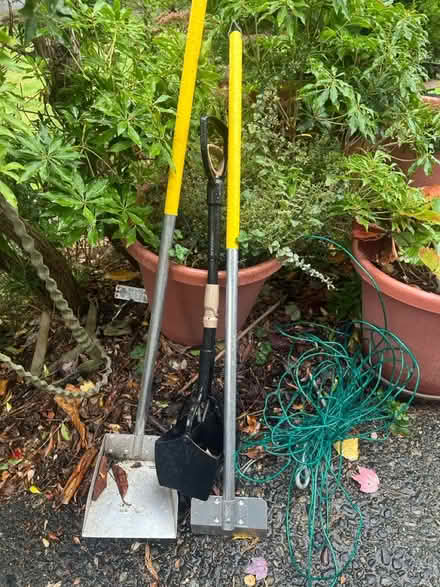 Photo of free Poop scoopers (NE Seattle) #1