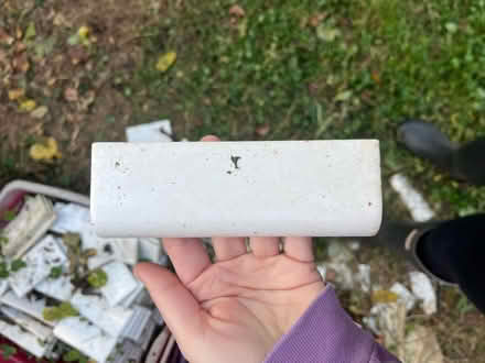 Photo of free Subway Tiles (North Woodside) #2