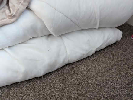 Photo of free 3 single duvets (Lower Penwortham PR1) #1