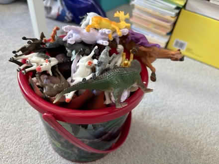 Photo of free Dinosaurs and aminals (Wandsworth Common) #1